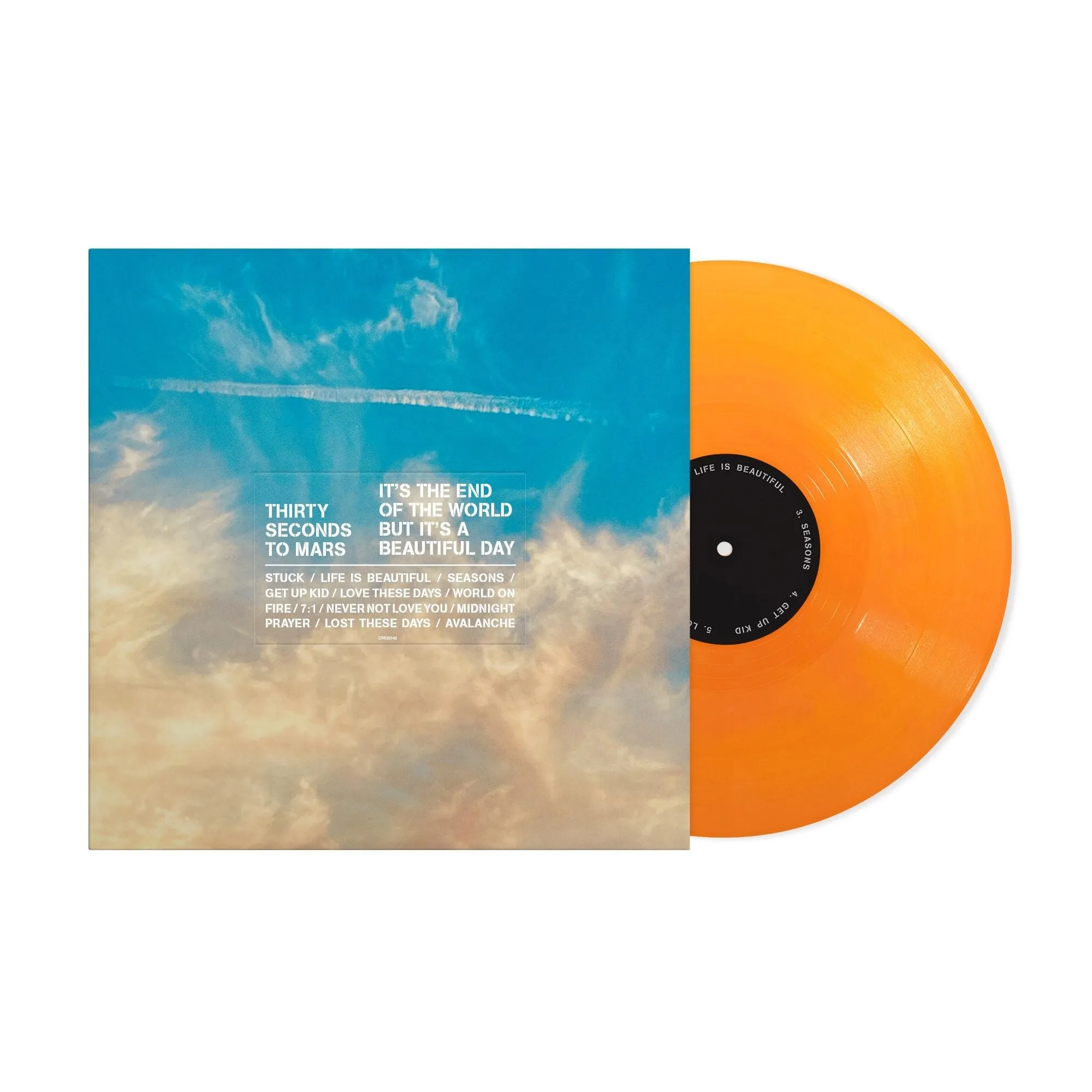 Thirty Seconds to Mars - It's The End Of The World But It's A Beautiful Day LP